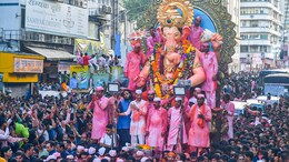 Ganeshotsav State Festival : गणेशोत्सव आता 'राज्य उत्सव'... शेलारांची मोठी घोषणा, उत्सव निर्बंध मुक्त अन् 500 कोटींचा निधी