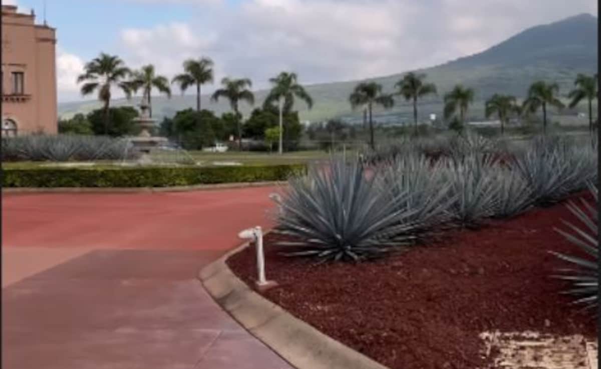 Latest and Breaking News on NDTV Latest and Breaking News on NDTV