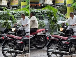 मोगली की बारात जा रही है... पत्तों से सजी दूल्हे की गाड़ी ने सोशल मीडिया पर बटोरी चर्चा, कमेंट्स पढ़ कंट्रोल नहीं होगी हंसी