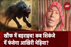 Bahraich: भेड़ियों का आतंक अब भी बरकरार, 5 को पकड़ने के बाद 1 अब भी पहुंच से बाहर Bahraich: भेड़ियों का आतंक अब भी बरकरार, 5 को पकड़ने के बाद 1 अब भी पहुंच से बाहर