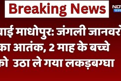 Wild Animals का आतंक, 2 माह के बच्ची को उठा ले गया Hyna, बच्ची ने तोडा दम Wild Animals का आतंक, 2 माह के बच्ची को उठा ले गया Hyna, बच्ची ने तोडा दम