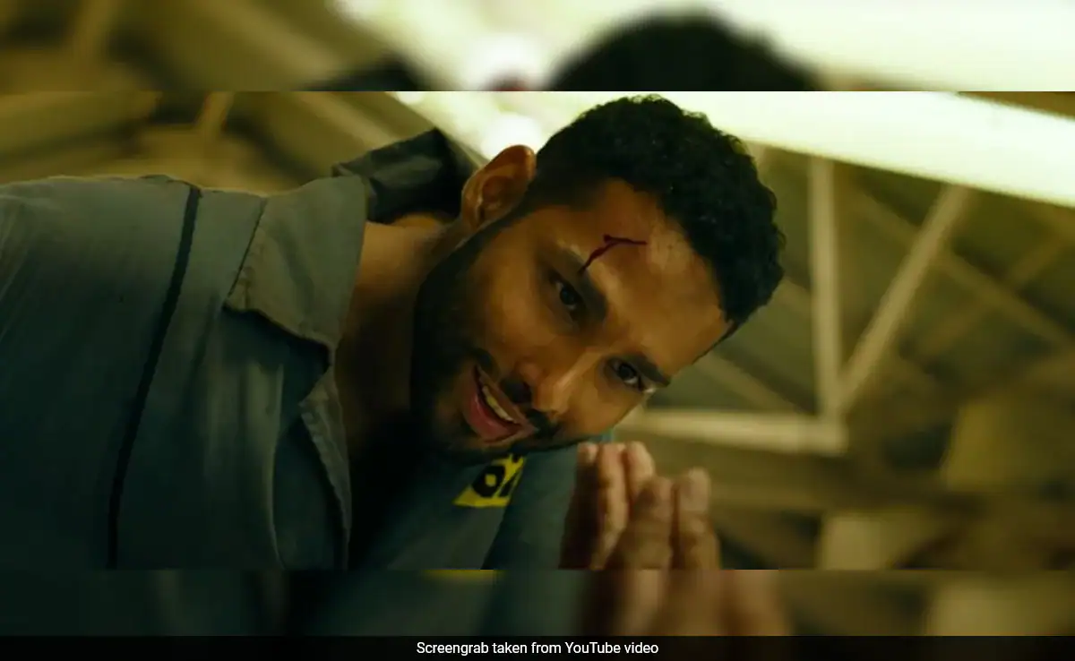 <i>Yudhra</i> Box Office Collection Day 3: Keeping Up With Siddhant Chaturvedi's Film