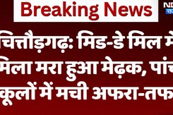 चित्तौड़गढ़: मिड-डे मिल में  मिला मरा हुआ मेढ़क, पांच  स्कूलों में मची अफरा-तफरी चित्तौड़गढ़: मिड-डे मिल में  मिला मरा हुआ मेढ़क, पांच  स्कूलों में मची अफरा-तफरी