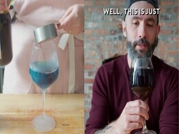 Gatorwine: A Bizarre Drink Trend Making Waves On Social Media Gatorwine: A Bizarre Drink Trend Making Waves On Social Media