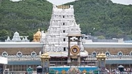 Tirupati Laddoo Row: Report Cites How Blacklisted Dairies Sealed Ghee Deal