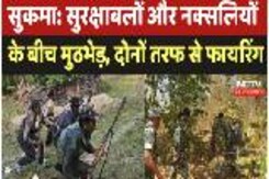 Chhattisgarh Naxal News: सुरक्षाबलों और नक्सलियों के बीच मुठभेड़, दोनों तरफ से Firing Chhattisgarh Naxal News: सुरक्षाबलों और नक्सलियों के बीच मुठभेड़, दोनों तरफ से Firing