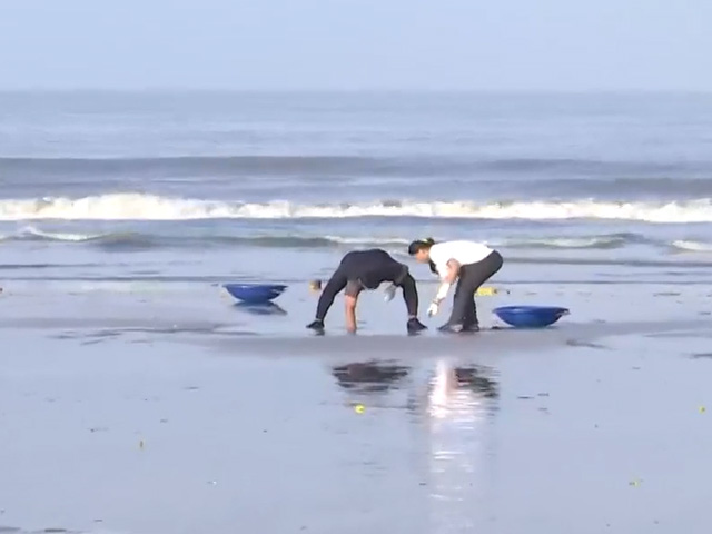 Beach Clean-up Drive In Mumbai Day After Ganpati Visarjan