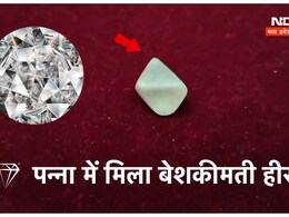 पन्ना की 'तमन्ना' हुई पूरी ! गरीब मजदूर को पहली बार मिला 32 कैरेट का बड़ा हीरा पन्ना की 'तमन्ना' हुई पूरी ! गरीब मजदूर को पहली बार मिला 32 कैरेट का बड़ा हीरा