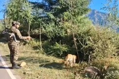 Search Operation Continues In Forest Areas Of Reasi District Search Operation Continues In Forest Areas Of Reasi District