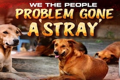 Man's Best Friend Turns Foe: The Stray Dog Crisis In India Man's Best Friend Turns Foe: The Stray Dog Crisis In India