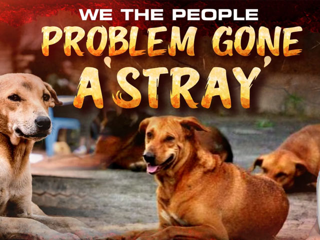 Man's Best Friend Turns Foe: The Stray Dog Crisis In India