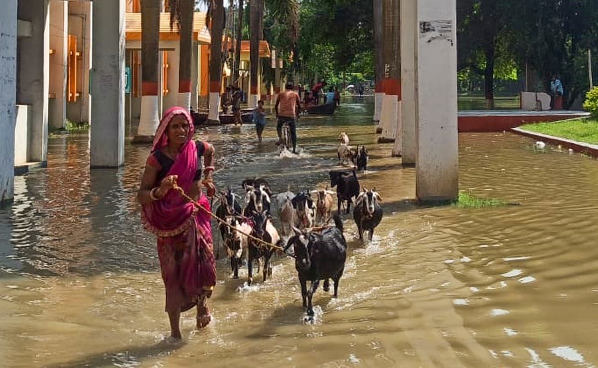 Latest and Breaking News on NDTV Latest and Breaking News on NDTV