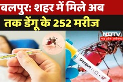 Jabalpur Dengue Cases: शहर में मिले अब तक Dengue के 252 मरीज Jabalpur Dengue Cases: शहर में मिले अब तक Dengue के 252 मरीज