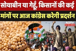 Kisan Nyay Yatra: सोयाबीन  या गेहूँ, किसानों की कई मांगों पर आज कांग्रेस करेगी प्रदर्शन Kisan Nyay Yatra: सोयाबीन  या गेहूँ, किसानों की कई मांगों पर आज कांग्रेस करेगी प्रदर्शन