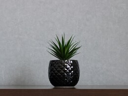 Kuber Industries के प्लांटर्स और पॉट्स पर 81% तक की छूट पाएं, Myntra से करें आर्डर