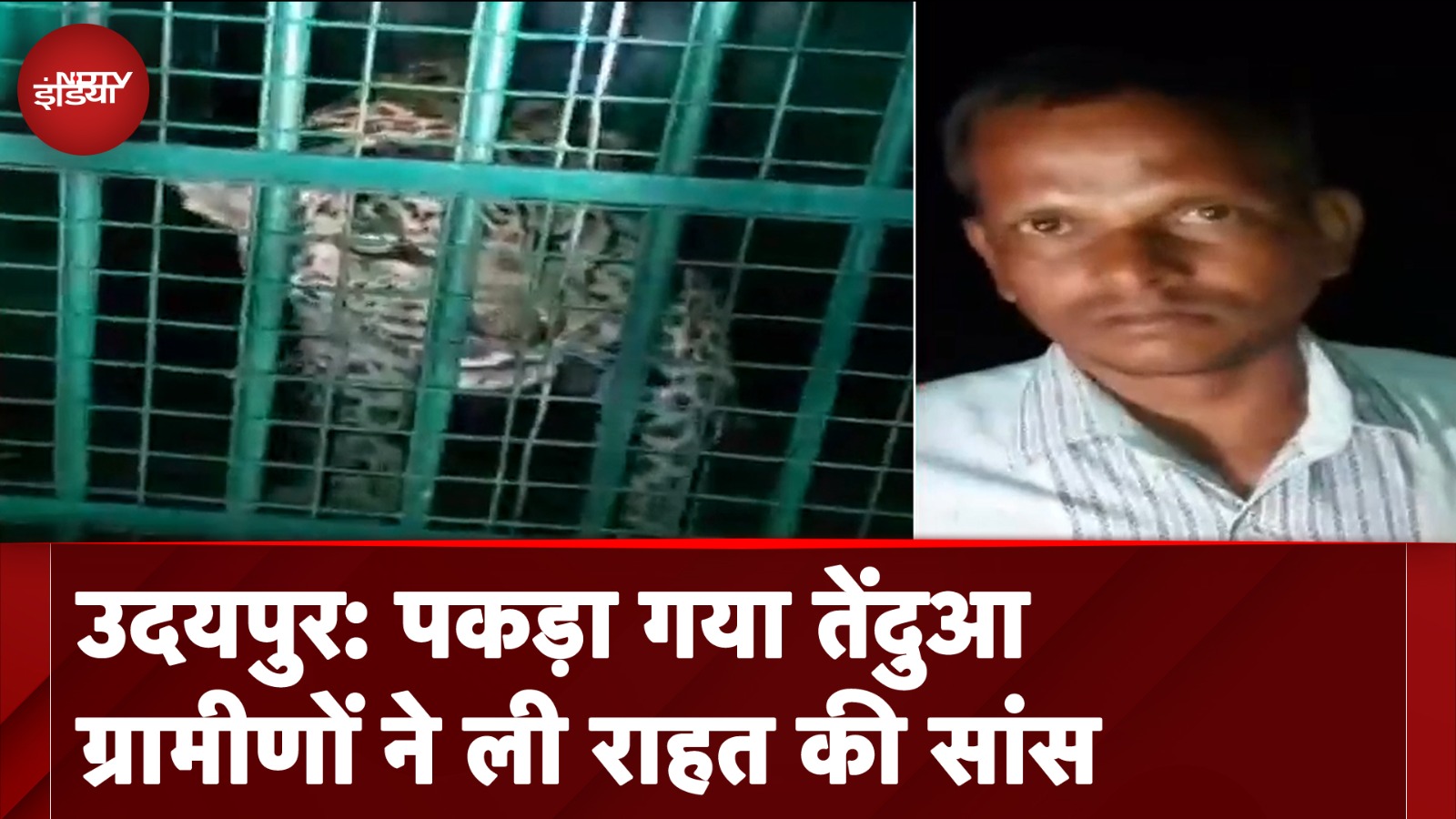 Udaipur Panther Attack: वन विभाग के जाल में फंसा तेंदुआ, 5 साल की बच्ची पर किया था हमला