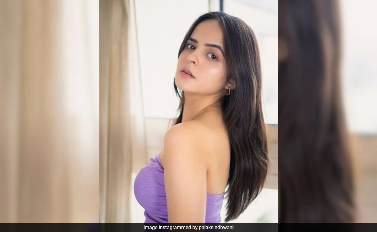Asked If She Received A Legal Notice From <i>Taarak Mehta Ka Ooltah Chashmah</i> Makers, Palak Sindhwani Said, "It's A Rumour"