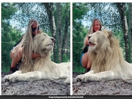 "Beautiful But Terrifying": Video Shows Woman Snuggling With Majestic White Lion "Beautiful But Terrifying": Video Shows Woman Snuggling With Majestic White Lion