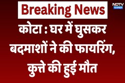 Kota News: घर में घुसकर बदमाशों ने की Firing, कुत्ते की हुई मौत | Latest  News | Breaking News Kota News: घर में घुसकर बदमाशों ने की Firing, कुत्ते की हुई मौत | Latest  News | Breaking News
