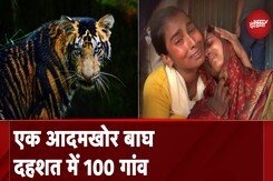 रात में शिकार करने वाला वो बाघ, जिसने दिन में ही लोगों को बनाया अपना शिकार रात में शिकार करने वाला वो बाघ, जिसने दिन में ही लोगों को बनाया अपना शिकार