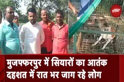 Bihar: Muzaffarpur में फैला सियारों का आतंक, 18 से ज्यादा लोग घायल Bihar: Muzaffarpur में फैला सियारों का आतंक, 18 से ज्यादा लोग घायल