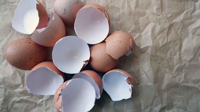 बेकार समझकर फेंकिए नहीं अंडे का छिलका! जानिए इसके ऐसे दिलचस्प इस्तेमाल जो आपको चौंका देंगे