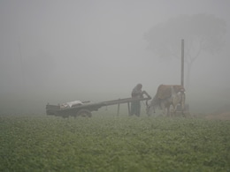 Rajasthan Weather: राजस्थान के फतेहपुर में 14 डिग्री के नीचे पहुंचा पारा, दीपावली के बाद बढ़ने लगी सर्दी