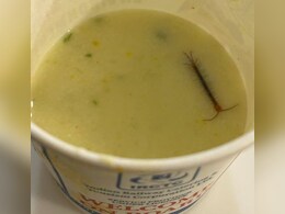 रेलवे के खाने में रायते के अंदर तैरता दिखा जिंदा कनखजूरा, पोस्ट वायरल होने पर IRCTC ने जवाब में कही ये बात