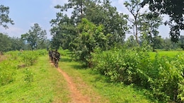 Chhattisgarh Chief Minister "Salutes" Security Forces On Bijapur Encounter