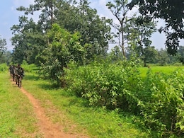 Chhattisgarh Chief Minister "Salutes" Security Forces On Bijapur Encounter Chhattisgarh Chief Minister "Salutes" Security Forces On Bijapur Encounter