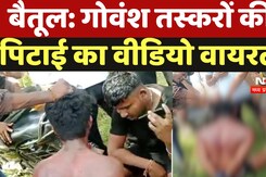 Betul Crime News: गोवंश तस्करी करते युवक को पकड़ा, ग्रामीणों ने अर्धनग्न कर बेरहमी से पीटा