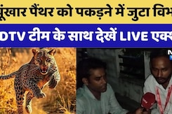 Rajasthan News:खूंखार Panther को पकड़ने में जुटा विभाग, NDTV टीम के साथ देखें LIVE एक्शन | Udaipur Rajasthan News:खूंखार Panther को पकड़ने में जुटा विभाग, NDTV टीम के साथ देखें LIVE एक्शन | Udaipur