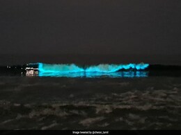 Chennai Beach Illuminated by Glowing Blue Waves At Night: ''Magical Show'' Chennai Beach Illuminated by Glowing Blue Waves At Night: ''Magical Show''