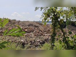 Madhya Pradesh: दिल्ली के बाद अब एमपी में भी नजर आ रहा कूड़े का पहाड़, कचड़ा प्लांट कर रहा नियमों का उल्लंघन