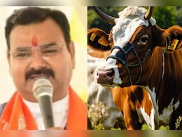 अजब-गजब: यूपी के मंत्री का दावा, गाय की बाड़ में लेटने से ठीक हो जाएगा कैंसर