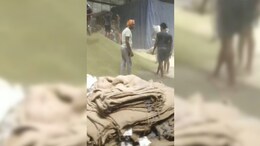 मूंग में मिट्टी ! थम जाओ मिलावटखोरों, वीडियो वायरल होते ही एक्शन में कलेक्टर