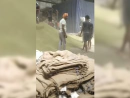 मूंग में मिट्टी ! थम जाओ मिलावटखोरों, वीडियो वायरल होते ही एक्शन में कलेक्टर