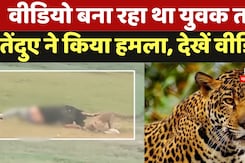 Leopard Attacked: वीडियो बना रहे युवक पर तेंदुए ने तेंदुए ने किया हमला, देखें वीडियो Leopard Attacked: वीडियो बना रहे युवक पर तेंदुए ने तेंदुए ने किया हमला, देखें वीडियो
