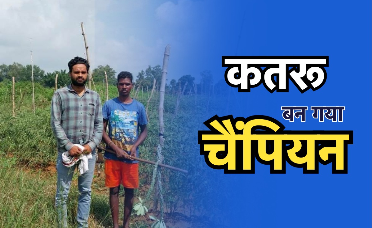 Tomato Farming: टमाटर से लाखों कमाकर चैंपियन बना कतरू, अब करोड़ों युवाओं के लिए बना प्रेरणास्रोत