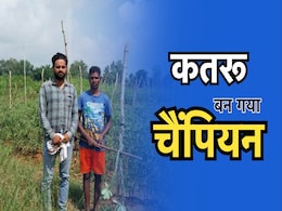Tomato Farming: टमाटर से लाखों कमाकर चैंपियन बना कतरू, अब करोड़ों युवाओं के लिए बना प्रेरणास्रोत Tomato Farming: टमाटर से लाखों कमाकर चैंपियन बना कतरू, अब करोड़ों युवाओं के लिए बना प्रेरणास्रोत
