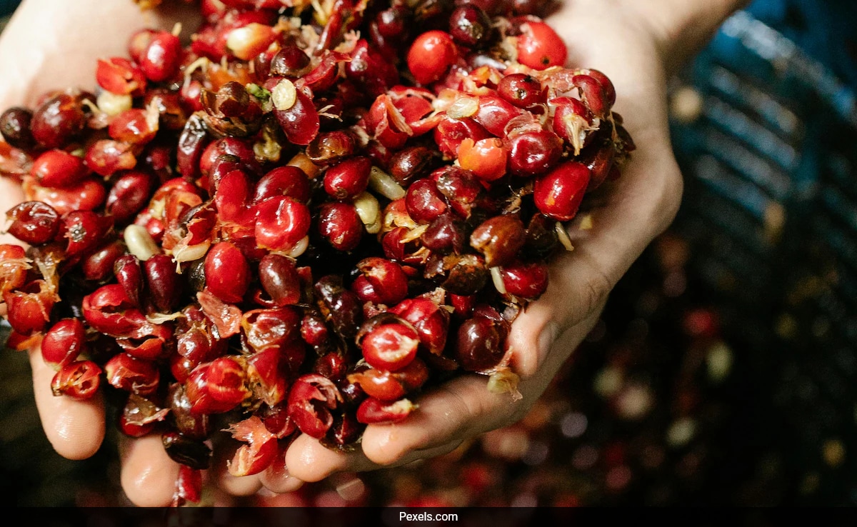6 Destinations Around The World Every Coffee Connoisseur Needs To Visit ...