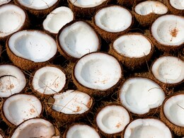 Usually Banned On Flights, Coconuts To Be Allowed For Sabarimala Pilgrims