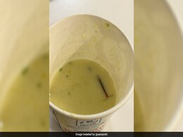 Delhi Man Finds Centipede In Meal At Railways' VIP Lounge, IRCTC Responds Delhi Man Finds Centipede In Meal At Railways' VIP Lounge, IRCTC Responds