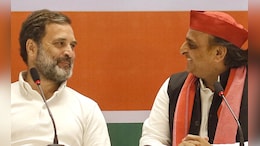 'Akhilesh Yadav Must Lead INDIA Bloc': Murmurs After Congress's Bihar Rout