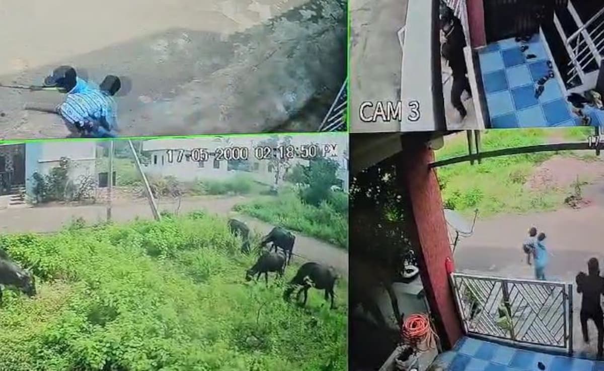 On CCTV, Kidnappers Grab 2 Children From Inside Their House In Karnataka
