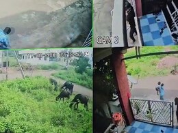 On CCTV, Kidnappers Grab 2 Children From Inside Their House In Karnataka