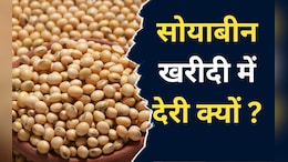 Kota News: सोयाबीन के किसानों पर दोहरी मार, पहले क़ुदरत का कहर, अब सरकारी खरीद में नहीं मिल रहे दाम&nbsp;
