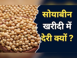 Kota News: सोयाबीन के किसानों पर दोहरी मार, पहले क़ुदरत का कहर, अब सरकारी खरीद में नहीं मिल रहे दाम 