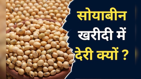 Kota News: सोयाबीन के किसानों पर दोहरी मार, पहले क़ुदरत का कहर, अब सरकारी खरीद में नहीं मिल रहे दाम&nbsp;