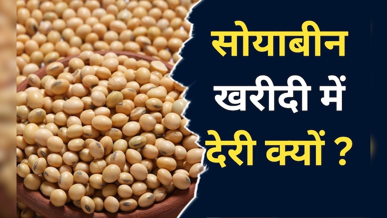 Kota News: सोयाबीन के किसानों पर दोहरी मार, पहले क़ुदरत का कहर, अब सरकारी खरीद में नहीं मिल रहे दाम&nbsp;